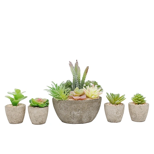 5pcs Set Pulp Potted Artificial Succulents Mini Bonsai House Decor
