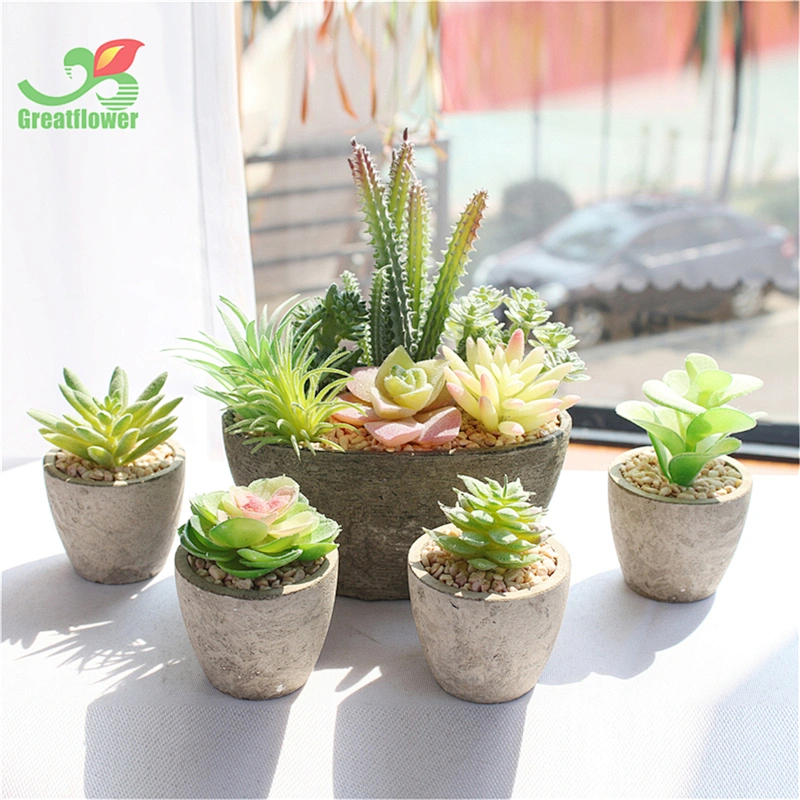 5pcs Set Pulp Potted Artificial Succulents Mini Bonsai House Decor