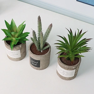 Mini Artificial Succulent Plants 3 Pack Faux Succulent Plants Potted House Table Decor