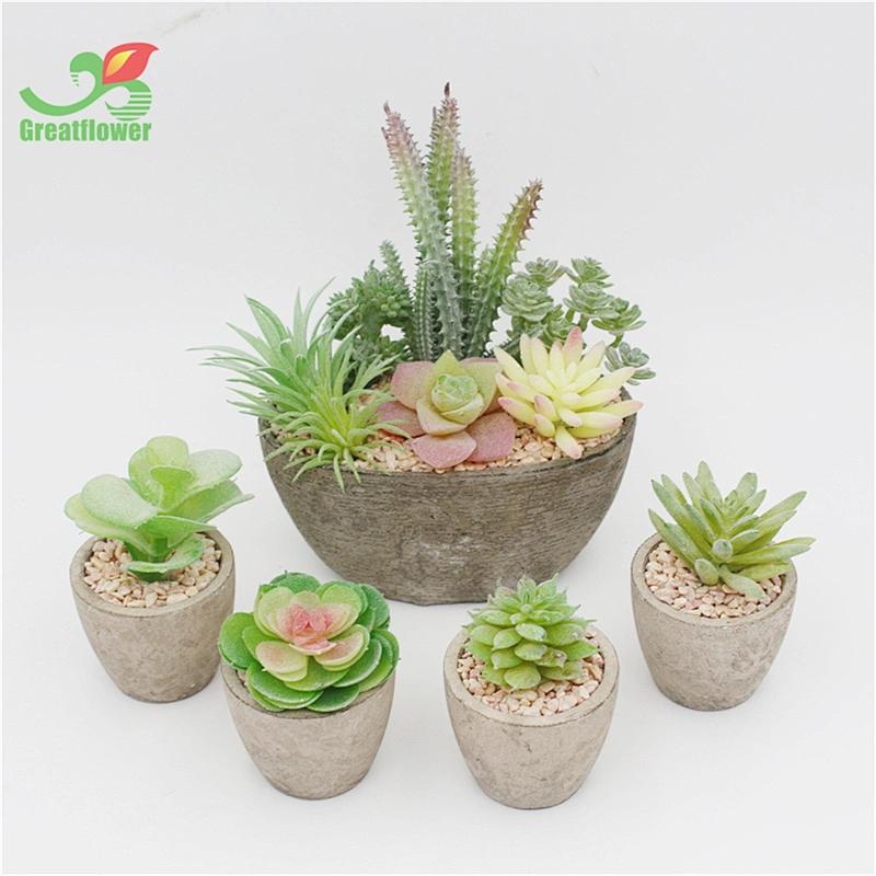 5pcs Set Pulp Potted Artificial Succulents Mini Bonsai House Decor