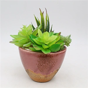 Pseudoplant