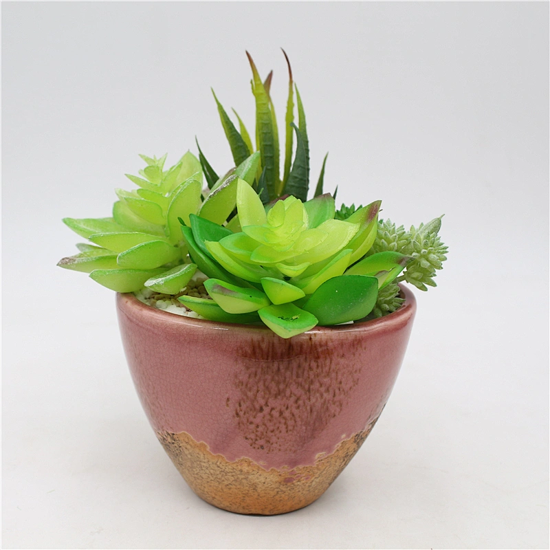 Pseudoplant