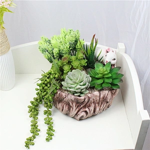 Pseudoplant