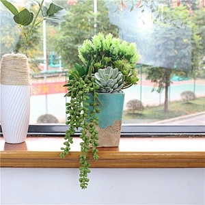 Pseudoplant