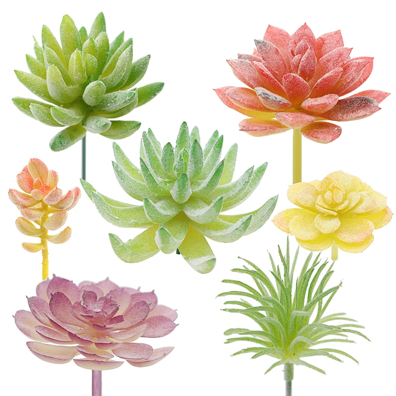 Pseudoplant