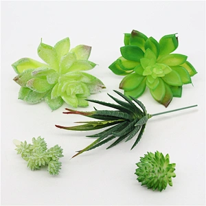 Pseudoplant