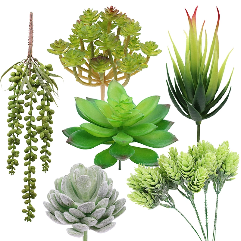 Pseudoplant