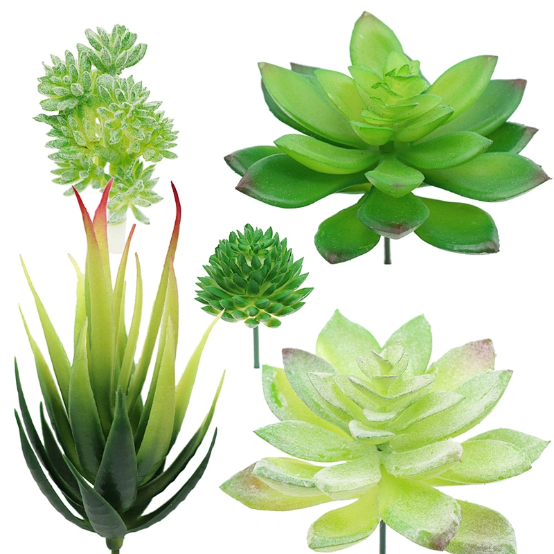 Pseudoplant