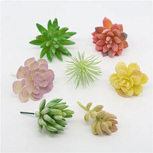 Pseudoplant