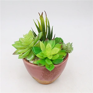 Pseudoplant