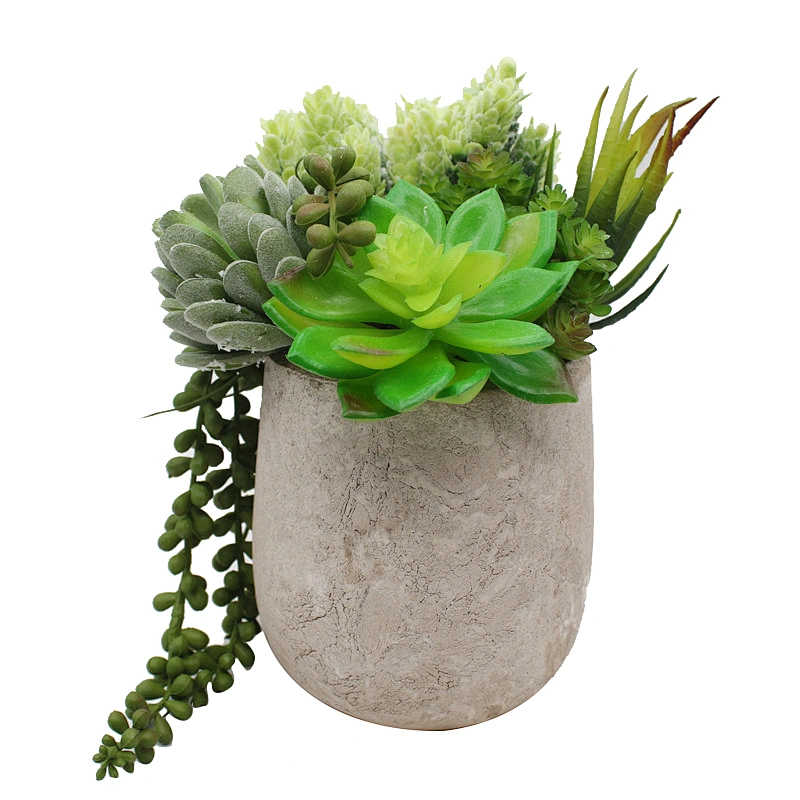 Pseudoplant