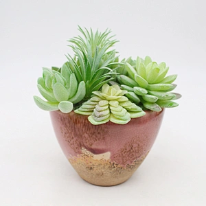 Pseudoplant