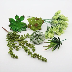 Pseudoplant