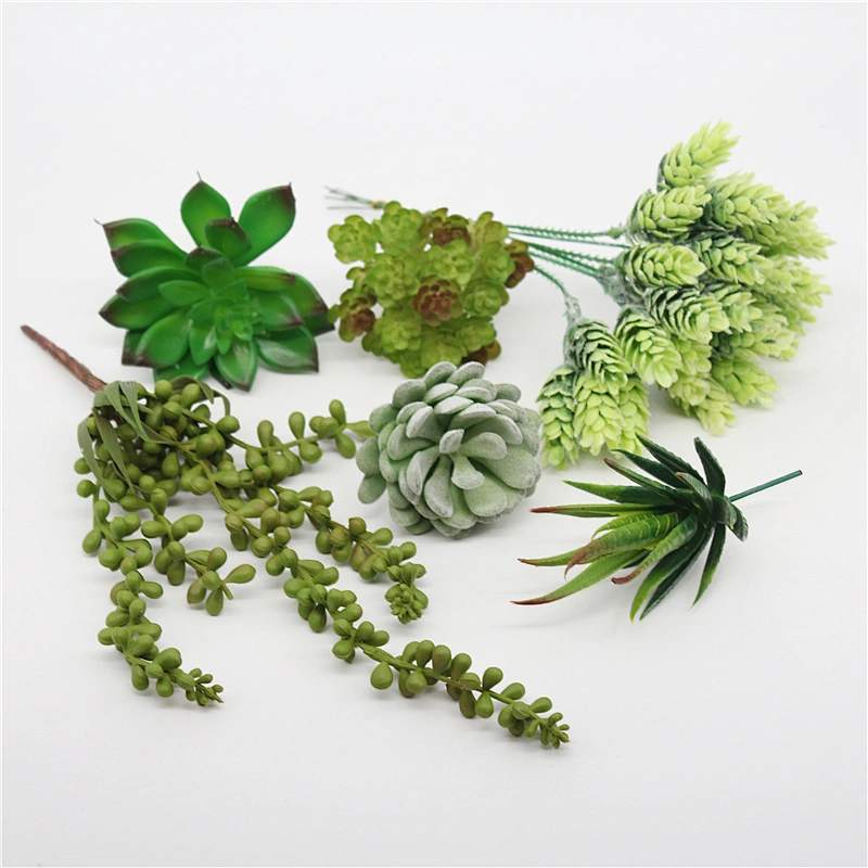Pseudoplant