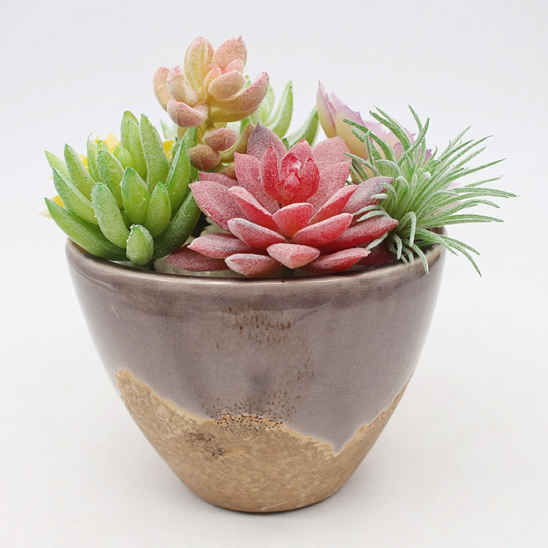 Pseudoplant