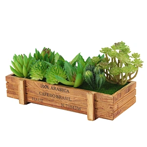 planta en maceta
