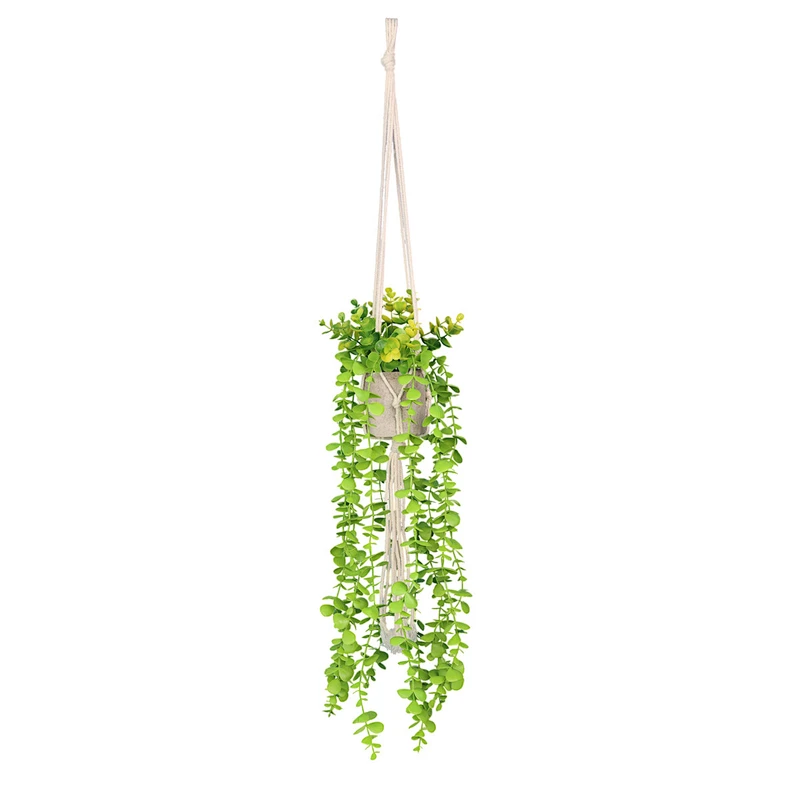 planta en maceta