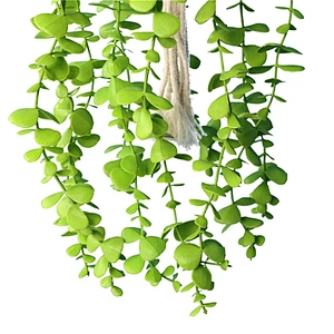 planta en maceta