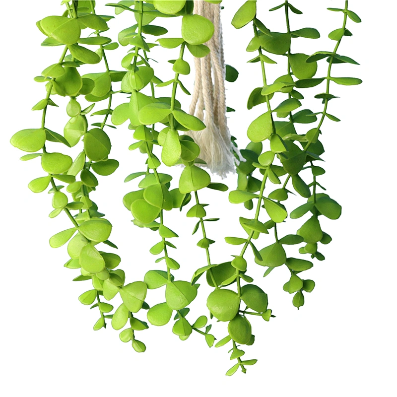 planta en maceta