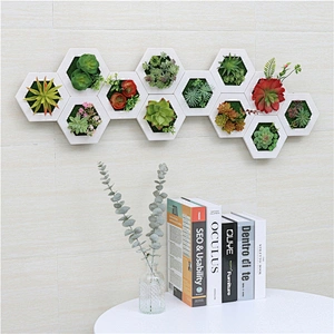 Hanging 3D Hexagon Frame  Plastic Flower Plants Greenery Wall Art