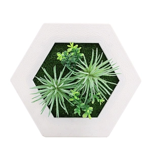 Hanging 3D Hexagon Frame  Plastic Flower Plants Greenery Wall Art