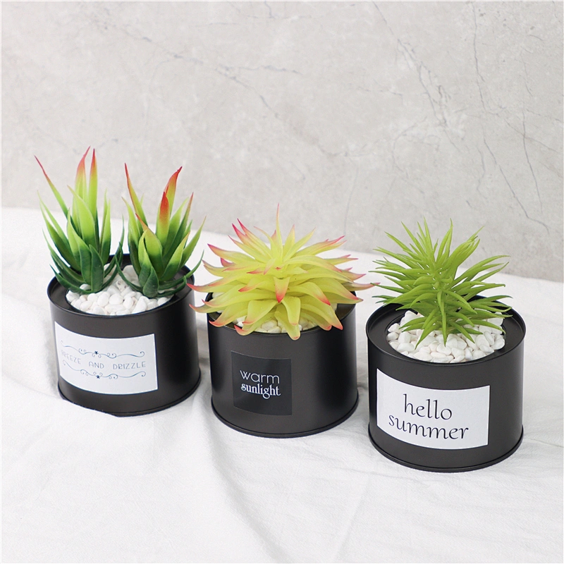 planta en maceta