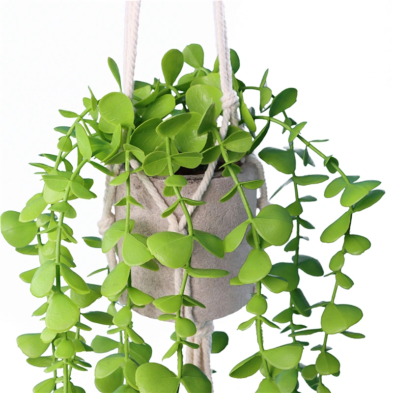 planta en maceta