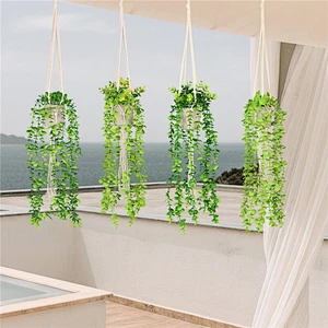 planta en maceta