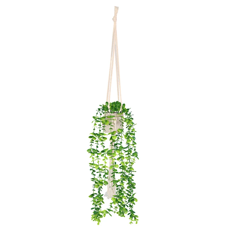 planta en maceta