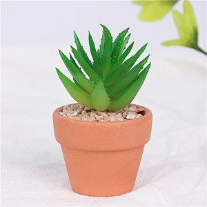 planta en maceta