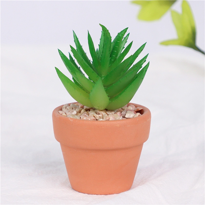 planta en maceta