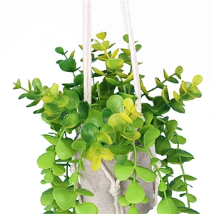 planta en maceta