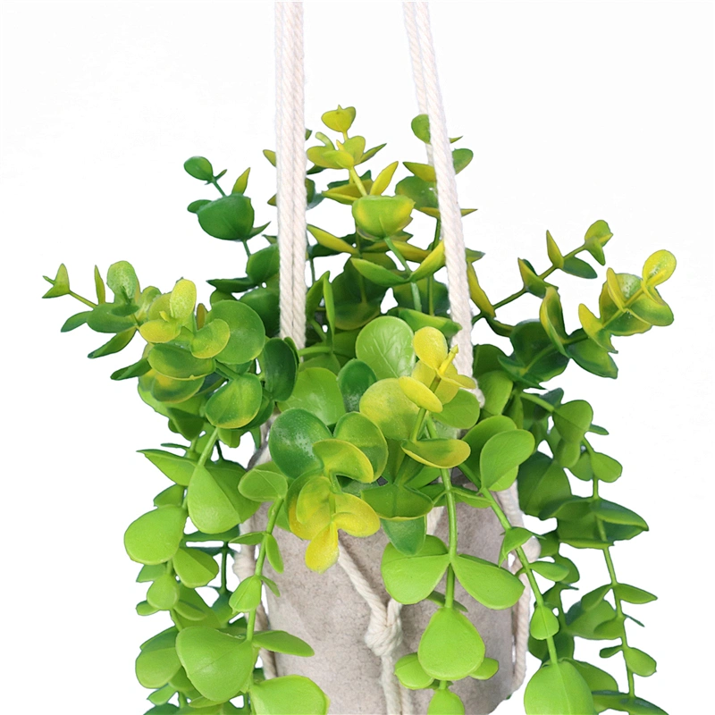 planta en maceta