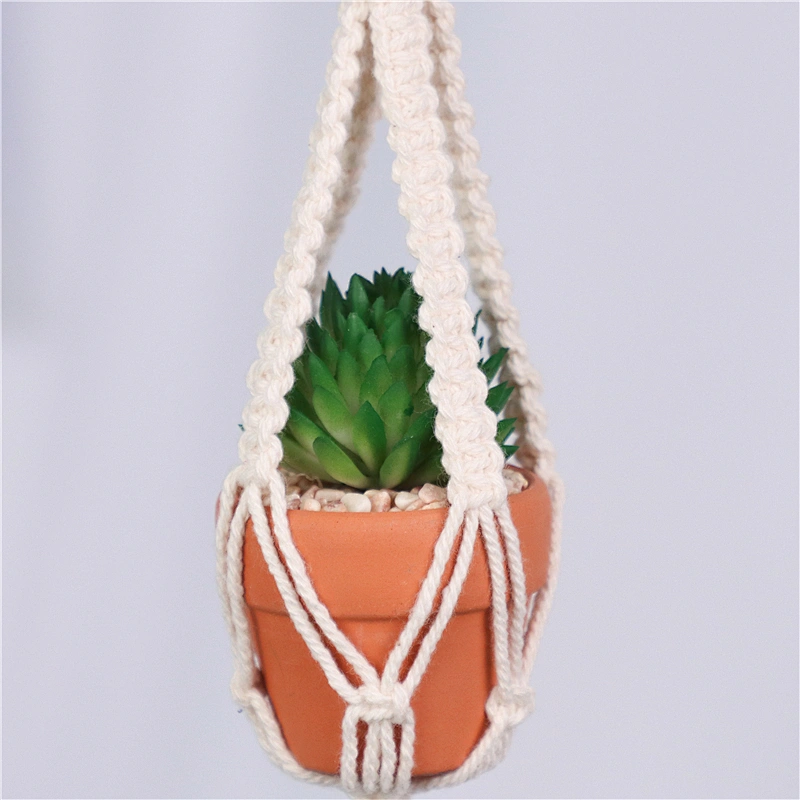 planta en maceta