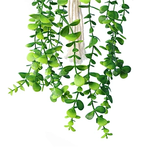 planta en maceta