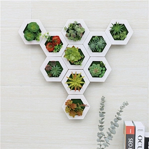 Hanging 3D Hexagon Frame  Plastic Flower Plants Greenery Wall Art
