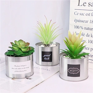 planta en maceta