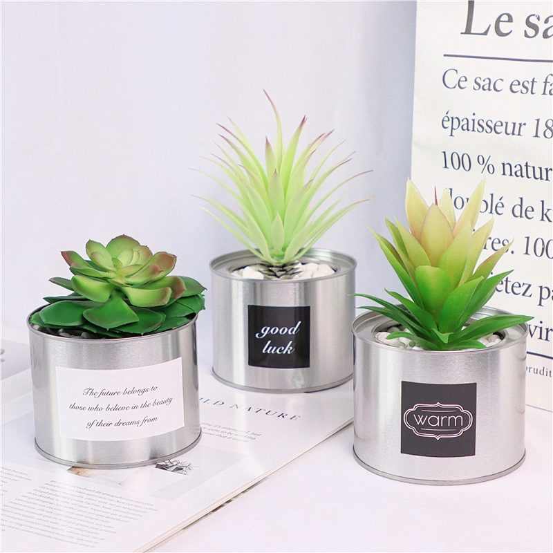 planta en maceta