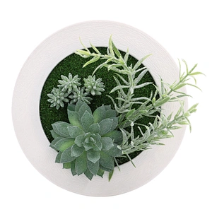 Fake Succulents Plastic Round Frame Hanging Design for Room