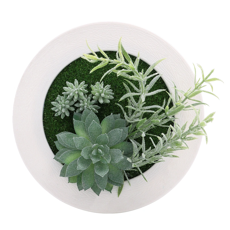 Fake Succulents Plastic Round Frame Hanging Design for Room
