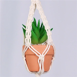planta en maceta
