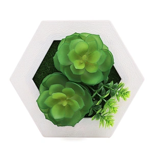 Hanging 3D Hexagon Frame  Plastic Flower Plants Greenery Wall Art