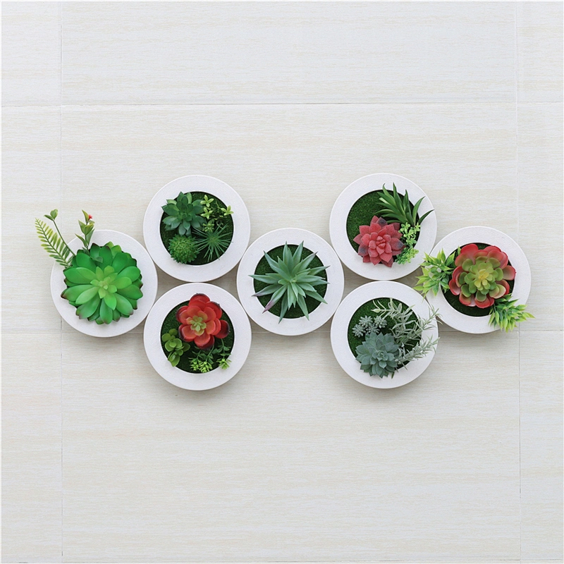 Fake Succulents Plastic Round Frame Hanging Design for Room
