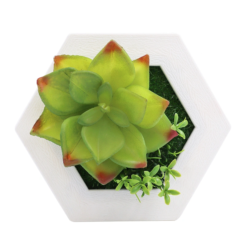 Hanging 3D Hexagon Frame  Plastic Flower Plants Greenery Wall Art