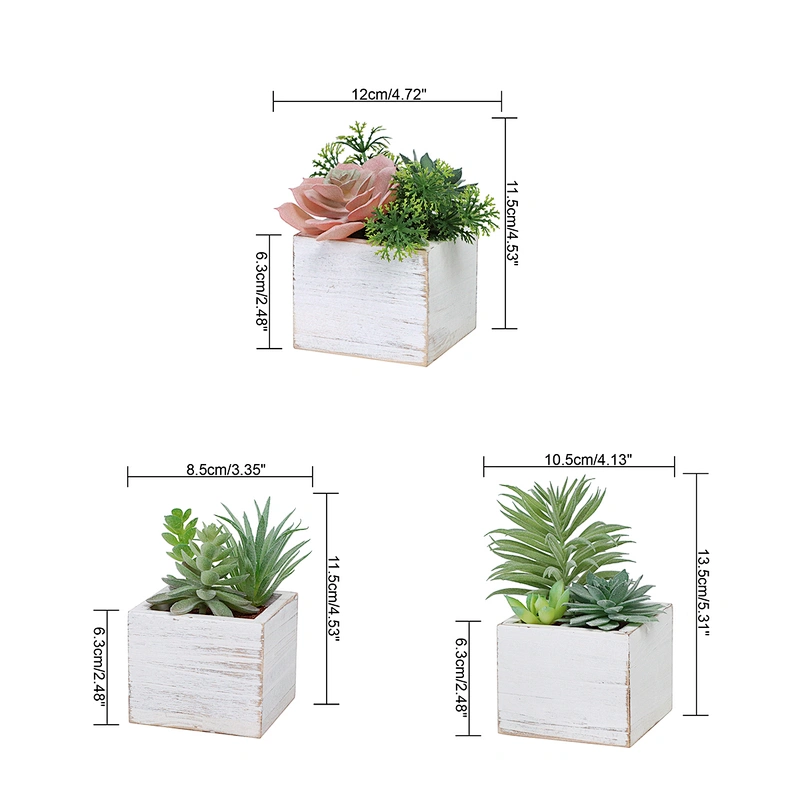 Assorted Small Potted Succulents Plants in Wooden Pot