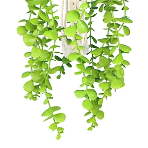 planta en maceta