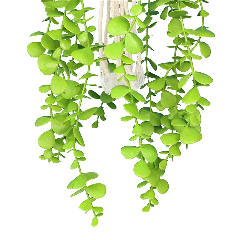 planta en maceta