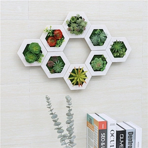 Hanging 3D Hexagon Frame  Plastic Flower Plants Greenery Wall Art