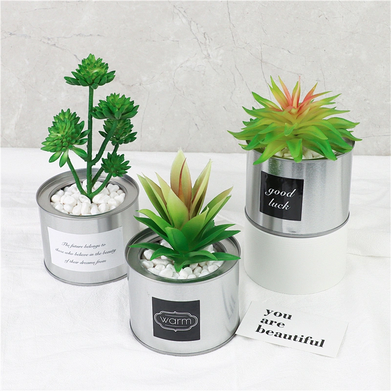 planta en maceta