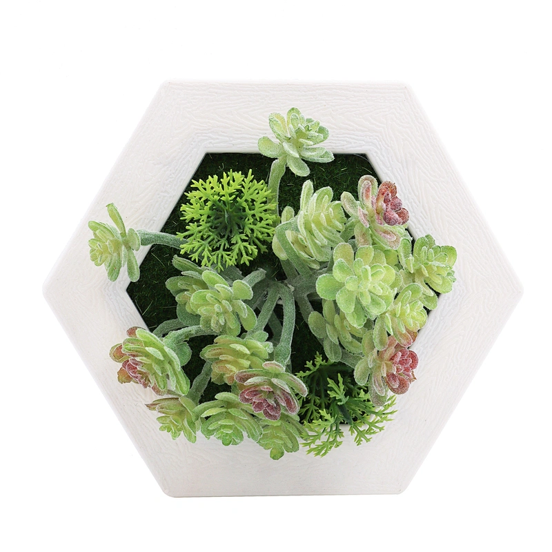Hanging 3D Hexagon Frame  Plastic Flower Plants Greenery Wall Art